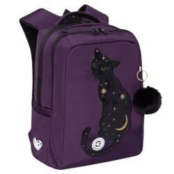 Рюкзак школьный Grizzly RG-466-6/1 фиолетовый